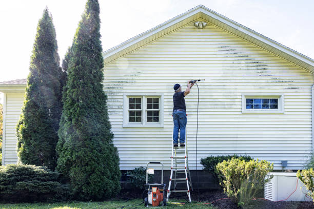 Best House Exterior Washing  in Des Plaines, IL
